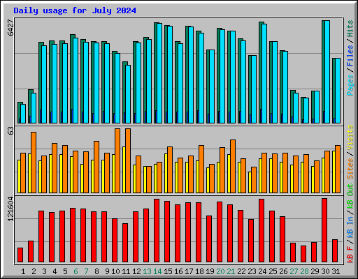 Daily usage for July 2024