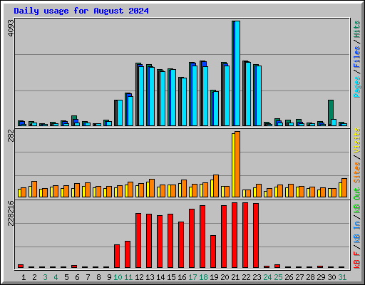 Daily usage for August 2024