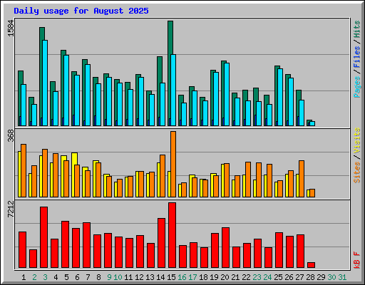 Daily usage for August 2025