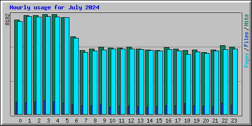 Hourly usage for July 2024