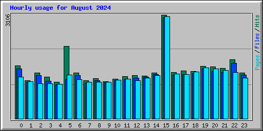 Hourly usage for August 2024