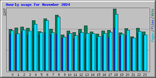 Hourly usage for November 2024