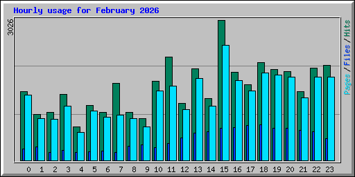 Hourly usage for February 2026
