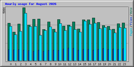 Hourly usage for August 2026