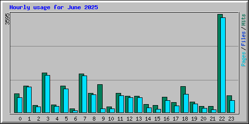 Hourly usage for June 2025