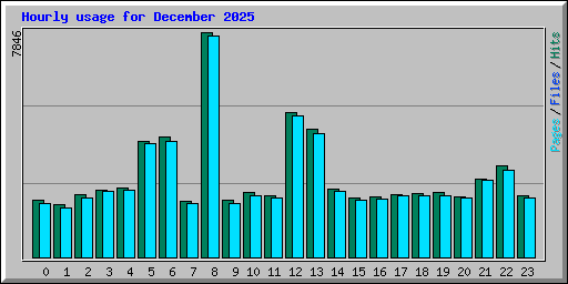 Hourly usage for December 2025