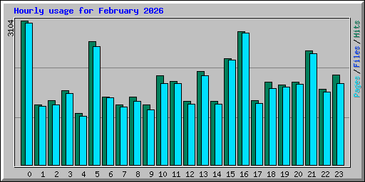 Hourly usage for February 2026