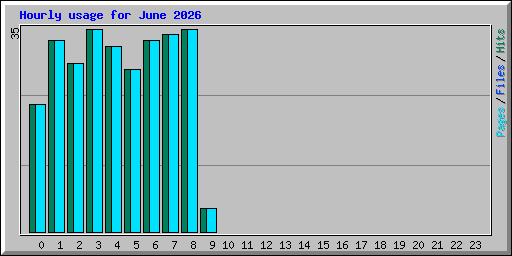 Hourly usage for June 2026